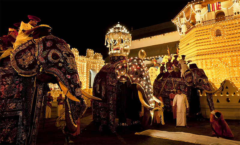 Tổ chức ngày Phật Đản tại Sri Lanka