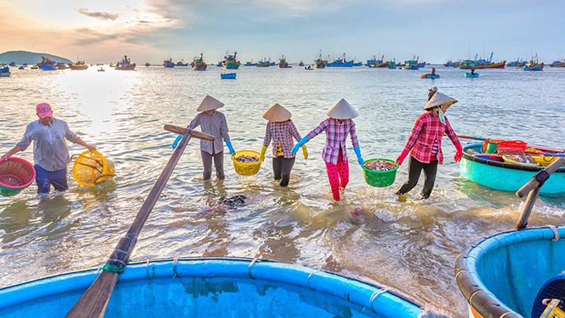 Hình ảnh biển Việt Nam - 7 (Kích thước: 1920 x 1080)