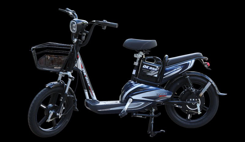Xe đạp điện - 8