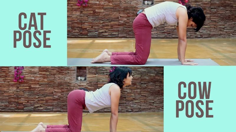 Mẹ tập tư thế con mèo/bò giúp lưu thông máu huyết dễ dàng Mẹ tập tư thế con mèo/bò giúp lưu thông máu huyết dễ dàng
