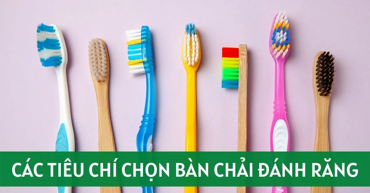 Các tiêu chí lựa chọn bàn chải đánh răng phù hợp nhất