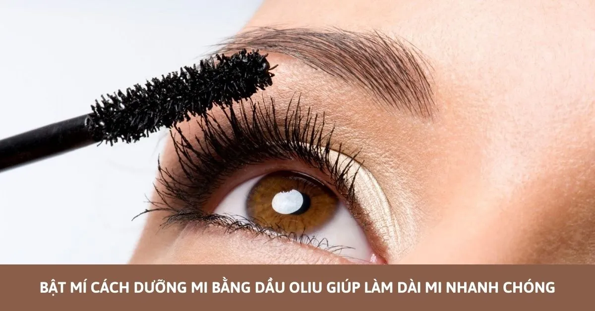 dưỡng mi bằng dầu oliu