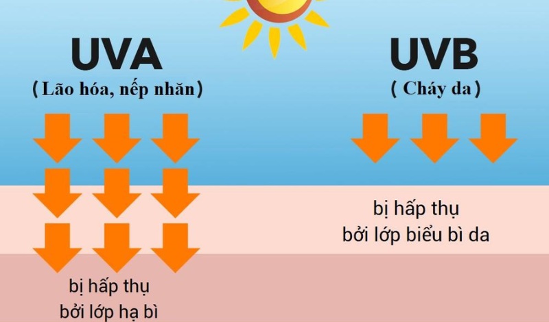 Tia UV là tia cực tím đến từ ánh sáng mặt trời
