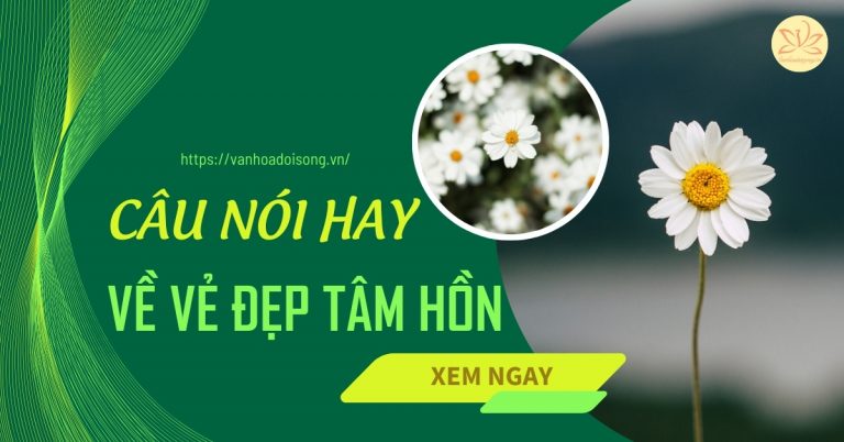 Câu nói hay về vẻ đẹp tâm hồn ý nghĩa và sâu sắc nhất