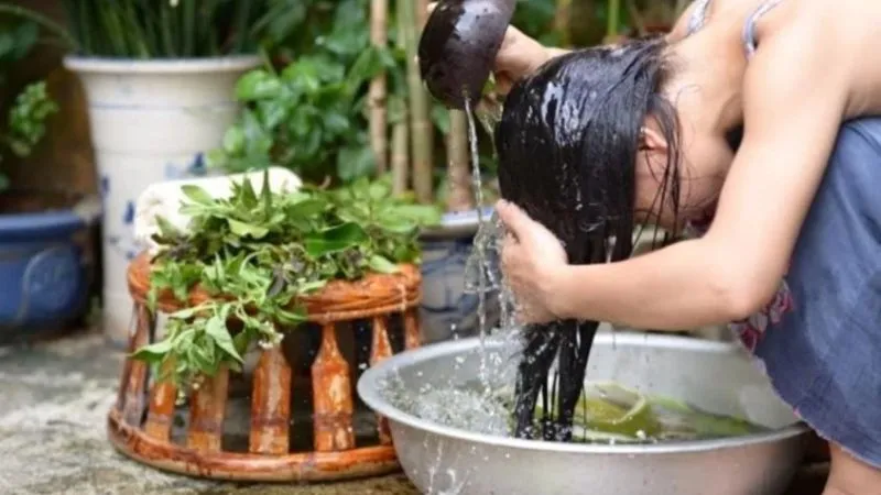 Sử dụng các loại lá thiên nhiên để điều trị vấn đề da đầu
