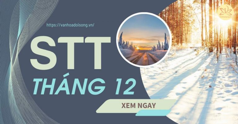 Stt tháng 12, câu nói hay về tháng 12 hài hước, hay, ngắn gọn