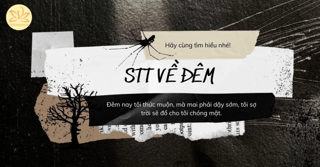 stt về đêm