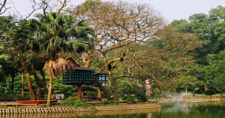 Khám phá công viên Bách Thảo: Ở đâu, chỗ gửi xe, giá vé?