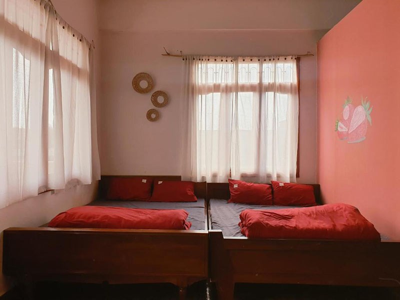 Vườn Nhà Eco - Dream Farmstay
