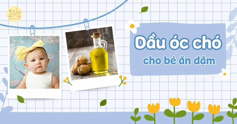 dầu óc chó cho bé ăn dặm