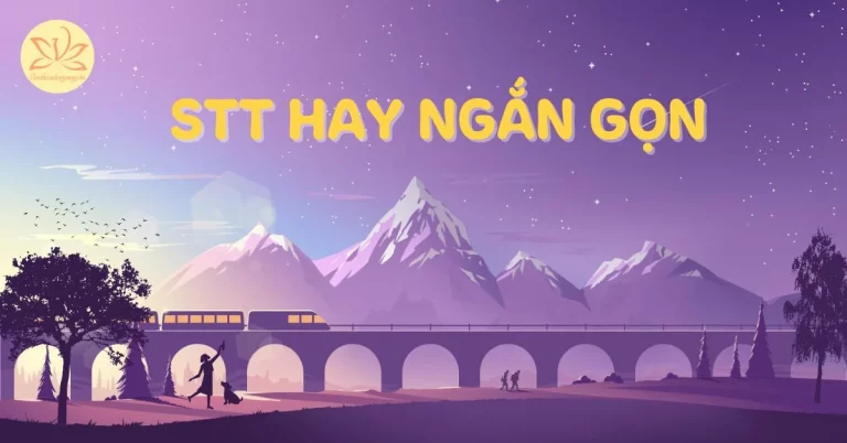 stt hay ngắn gọn