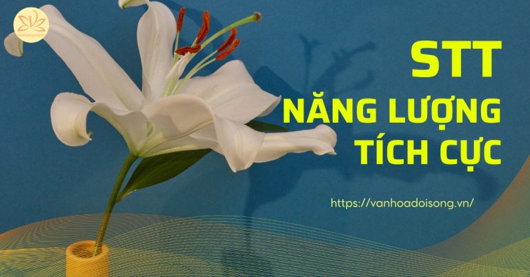 Stt năng lượng tích cực tràn đầy cảm hứng, truyền động lực sống