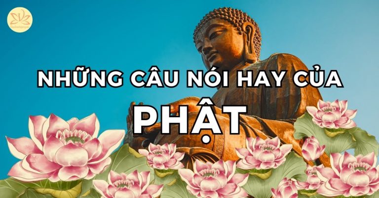 70+ câu nói hay của Phật khiến bạn phải suy ngẫm