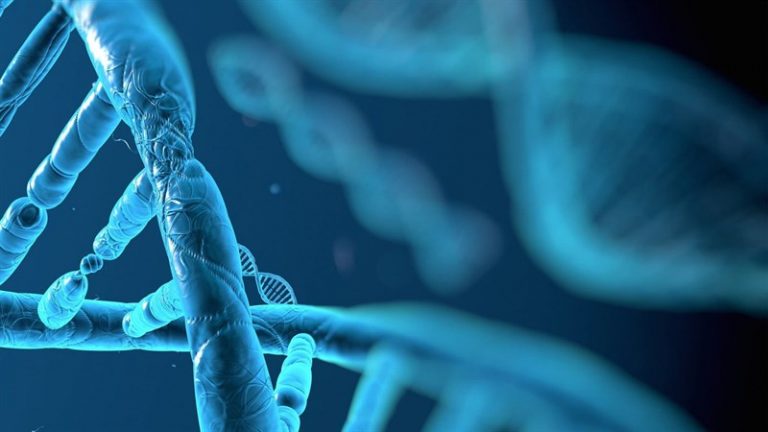 51+ Background, hình nền PowerPoint Sinh học Full HD – VANHOADOISONG