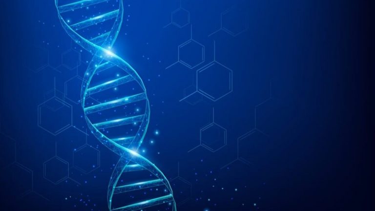 51+ Background, hình nền PowerPoint Sinh học Full HD – VANHOADOISONG