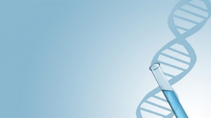 51+ Background, hình nền PowerPoint Sinh học Full HD – VANHOADOISONG