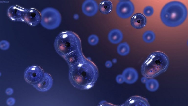 51+ Background, hình nền PowerPoint Sinh học Full HD – VANHOADOISONG