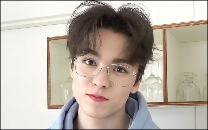 Hansol Vernon Chwe thường tham gia các show truyền hình