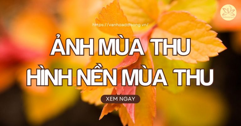 Ảnh mùa thu, hình nền mùa thu đẹp nhất, man mác buồn