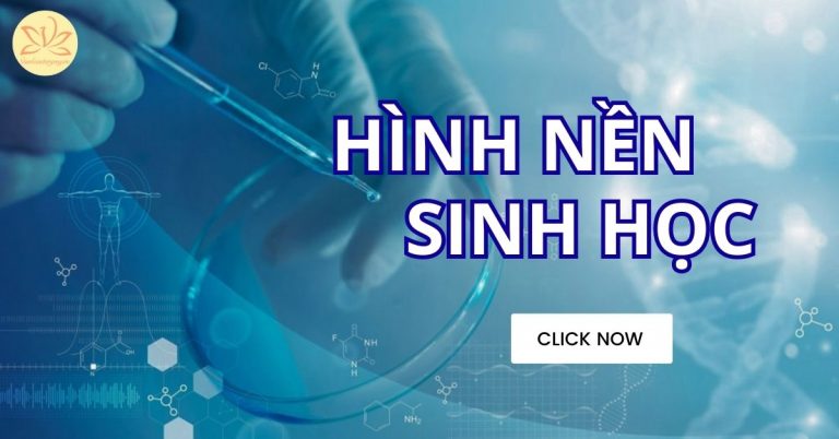 hình nền sinh học