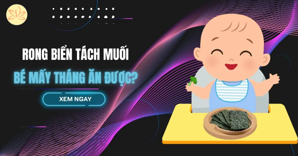 rong biển tách muối bé mấy tháng ăn được