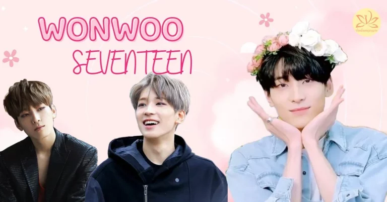 wonwoo-seventeen-thumbnail