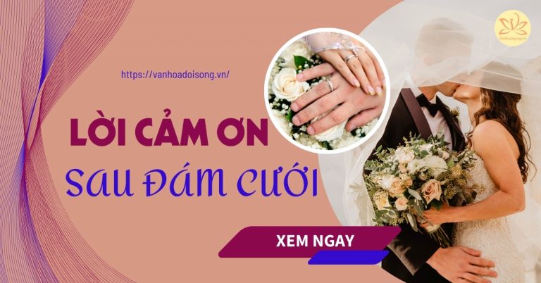 Lời cảm ơn sau đám cưới ngắn gọn, stt cảm ơn hay, ý nghĩa