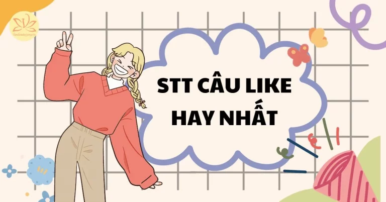 Stt câu like