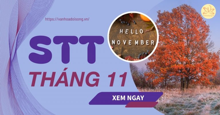 Stt tháng 11 yêu thương, hài hước, may mắn hay nhất, ý nghĩa