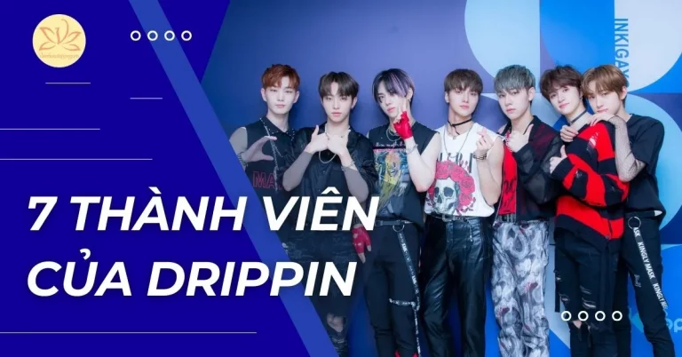 thành viên của drippin
