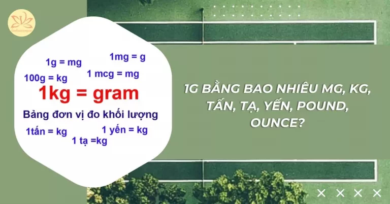 1g bằng bao nhiêu mg