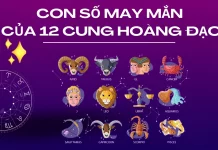 con số may mắn của 12 cung hoàng đạo