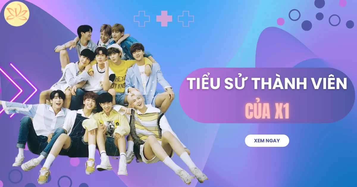 thành viên của x1
