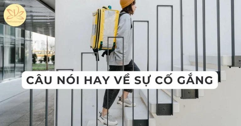 câu nói hay về sự cố gắng