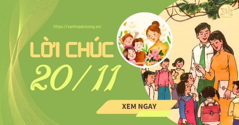200+ lời chúc 20/11 ý nghĩa ngắn gọn hay nhất cho thầy cô giáo