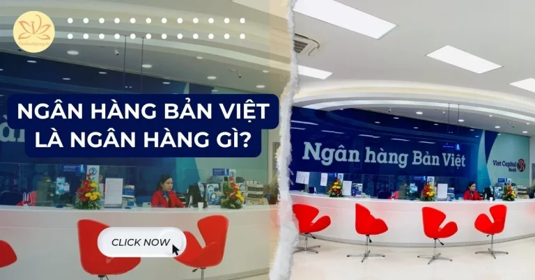 Ngân hàng Bản Việt là ngân hàng gì
