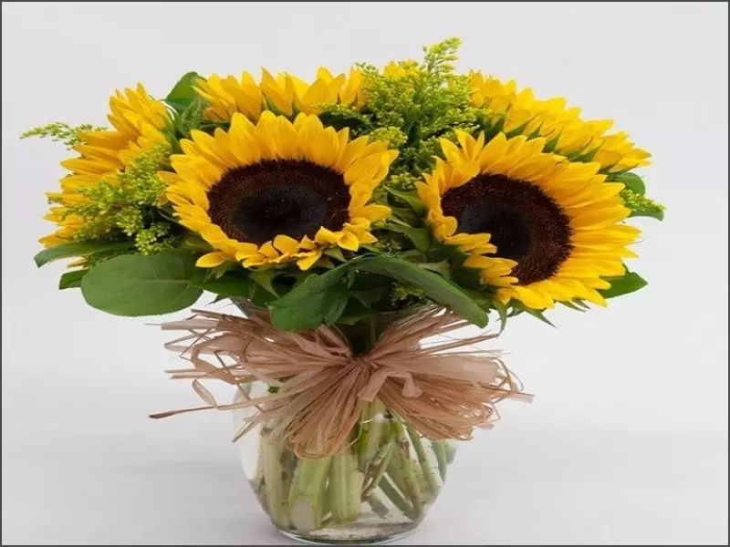 Cắm hoa hướng dương thân nhỏ để bàn