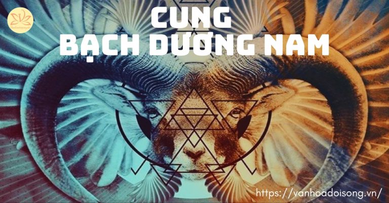cung bạch dương nam