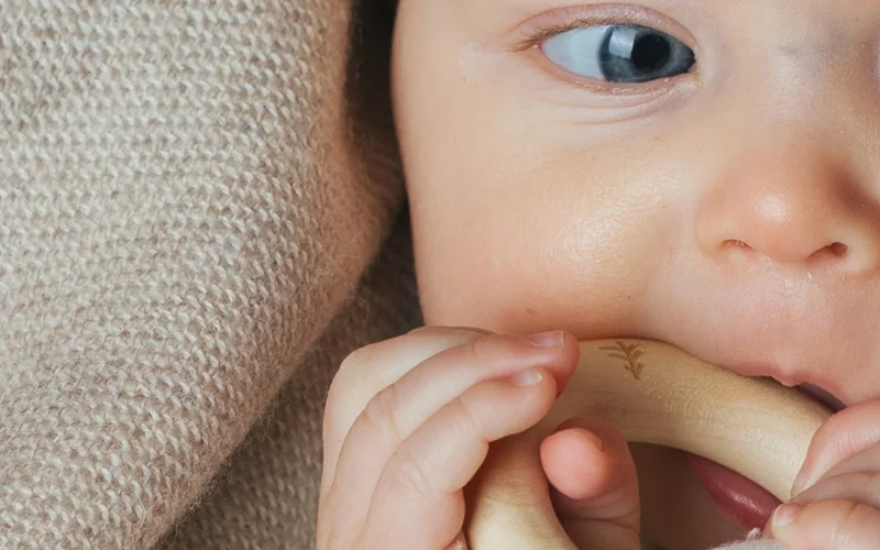 Phát triển xương hàm