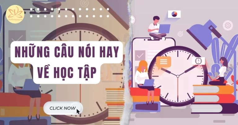 những câu nói hay về học tập