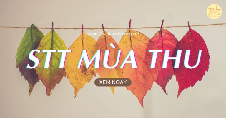 Stt mùa thu hay nhất, cap mùa thu lãng mạn, tâm trạng