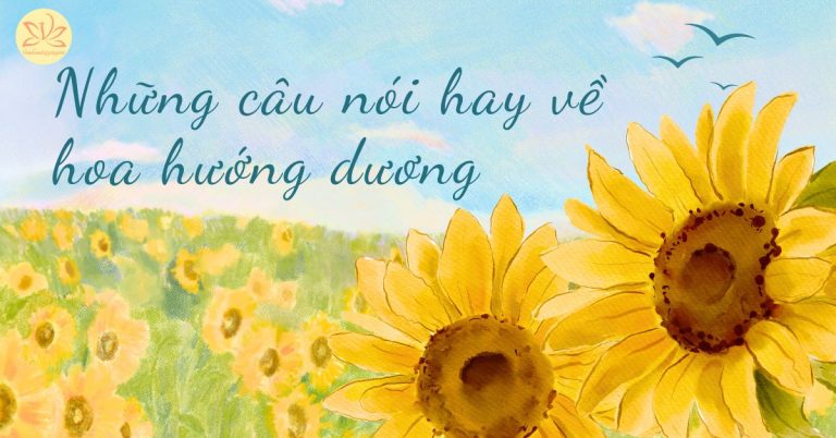 stt-ve-hoa-huong-duong-manh-me-vuon-minh-song-hay-y-nghia-nhat