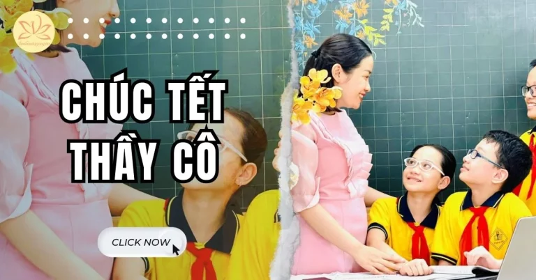 chúc tết thầy cô