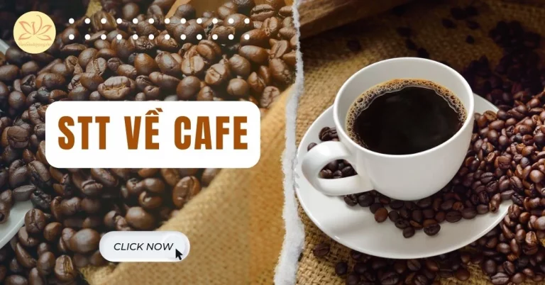 stt về cafe
