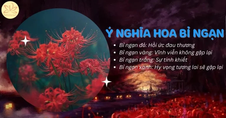 ý nghĩa hoa bỉ ngạn