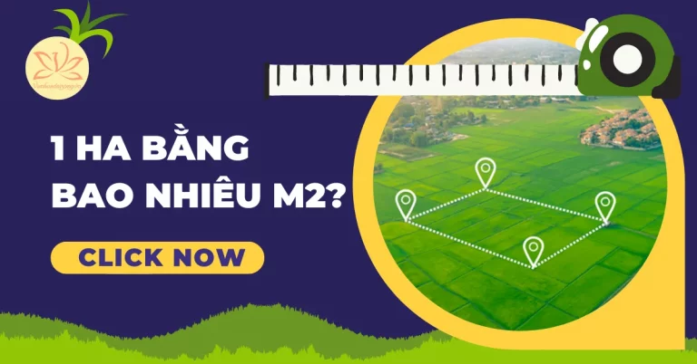 1 ha bằng bao nhiêu m2