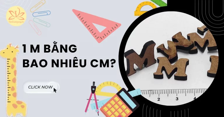 1m bằng bao nhiêu cm