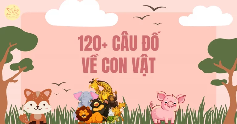 câu đố về con vật