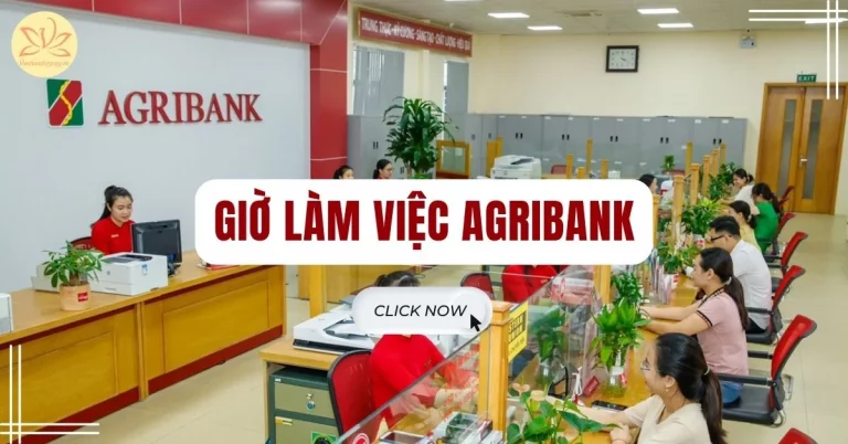 giờ làm việc agribank