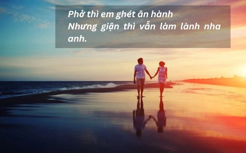 Phở thì em ghét ăn hànhNhưng giận thì vẫn làm lành nha anh.